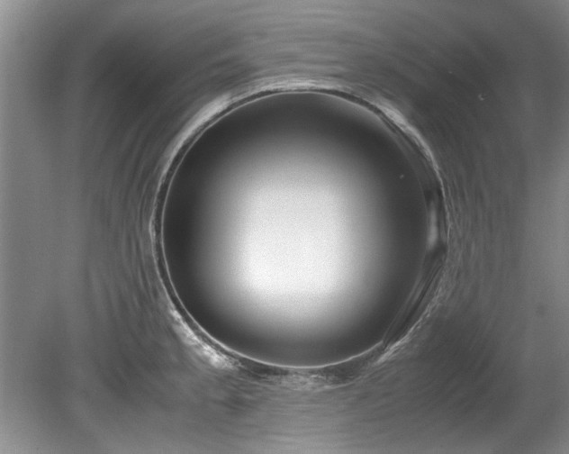 X0000078881189200611131235