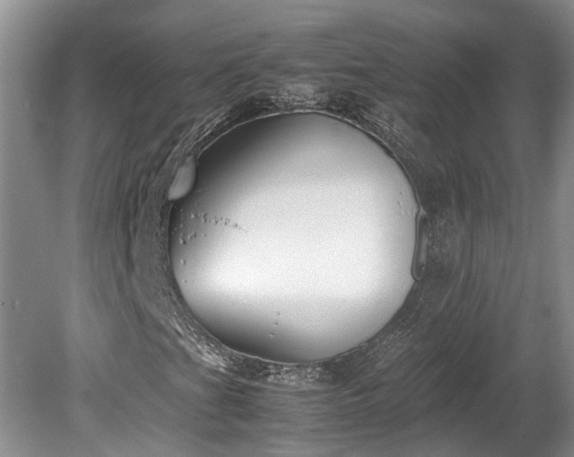 X0000078881201200611131234