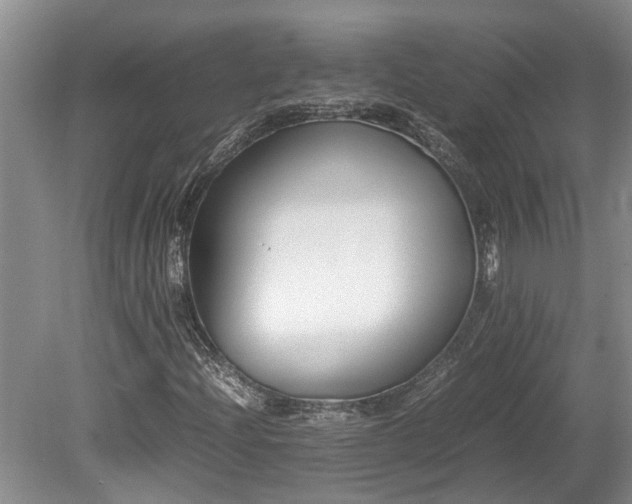 X0000078881204200611131234