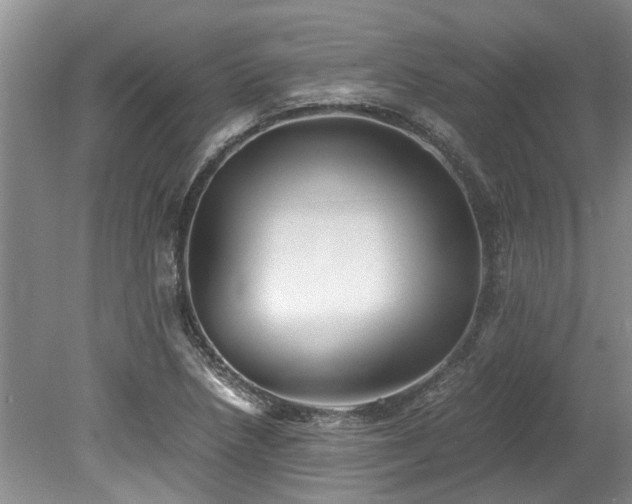 X0000078881218200611131234