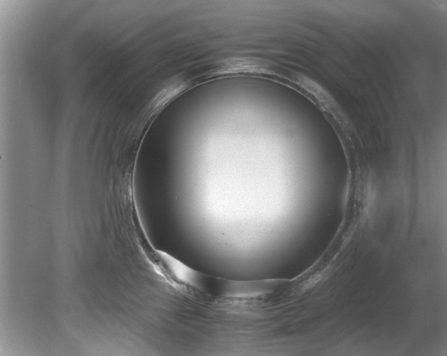X0000078881241200611131234