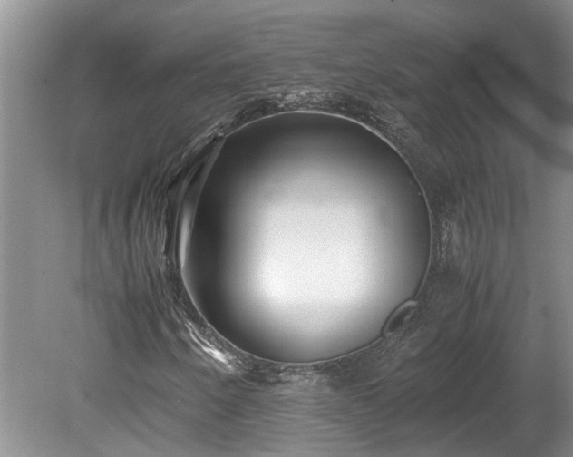 X0000078881250200611131234