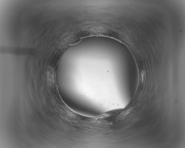 X0000078881251200611131234