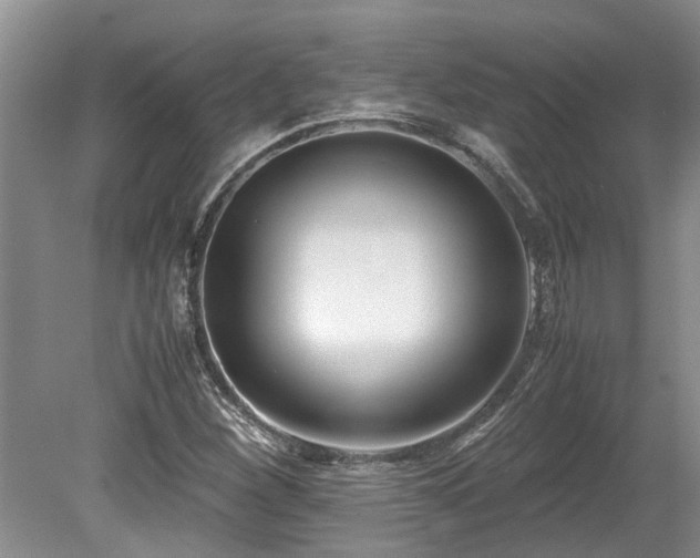 X0000078881260200611131234
