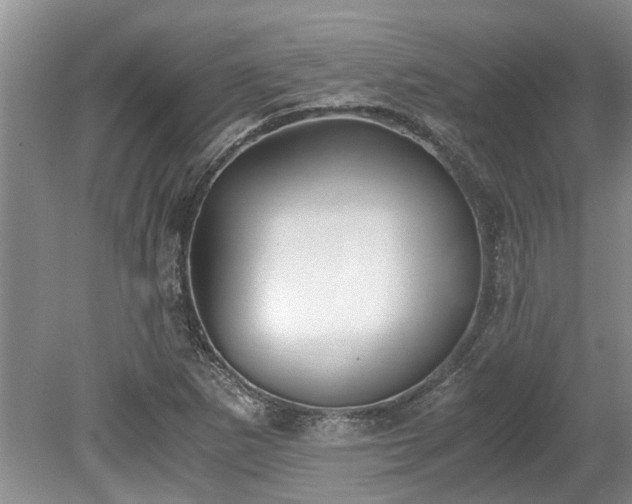 X0000078881265200611131233
