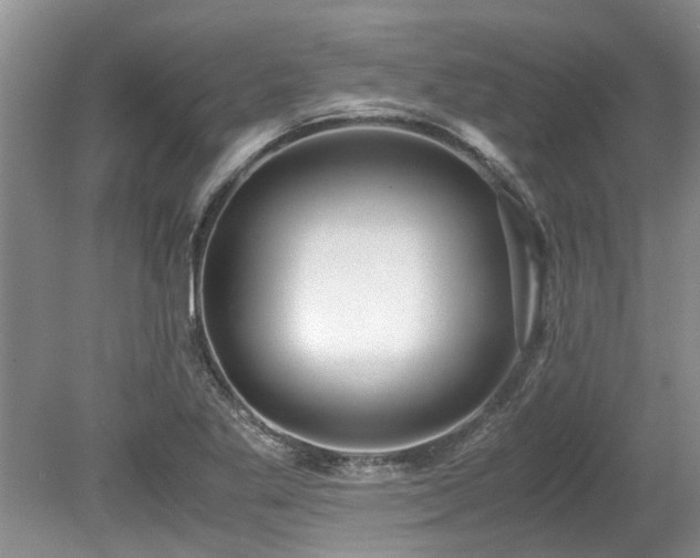 X0000078881269200611131233