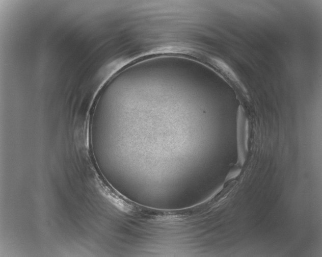 X0000078881276200611131233