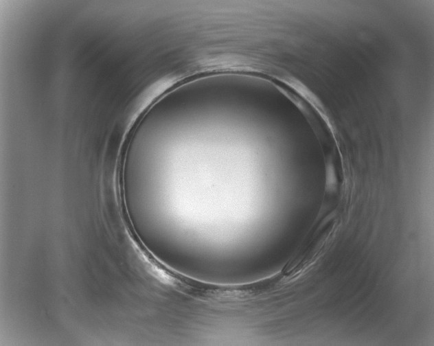 X0000078881293200611131233