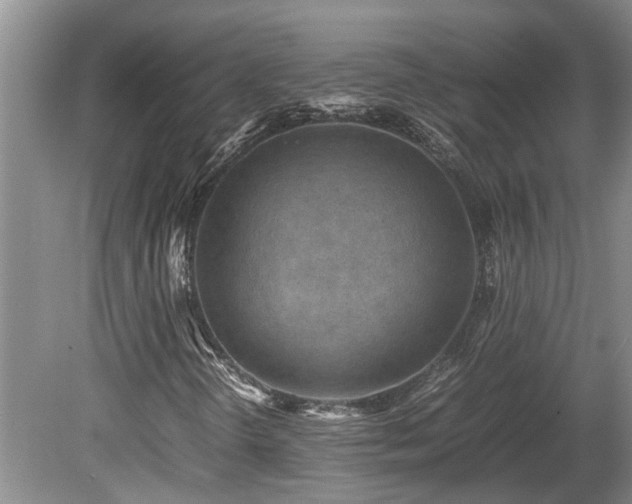 X0000078881298200611131232