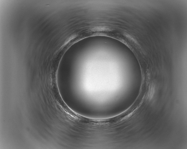X0000078881305200611131232