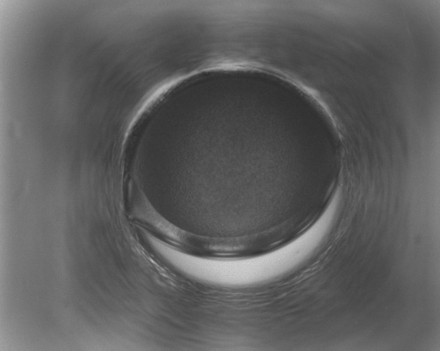 X0000078881319200611131232