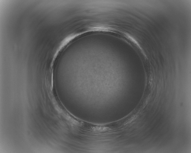 X0000078881323200611131233