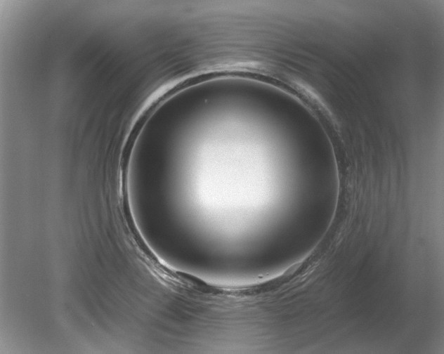 X0000078881324200611131233