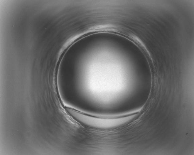 X0000078881336200611131233
