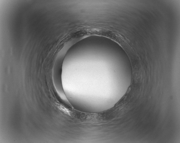 X0000078881345200611131232
