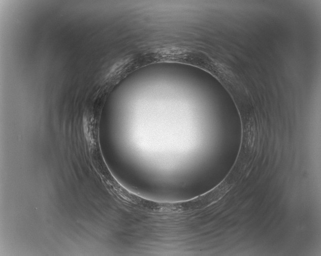 X0000078881346200611131232