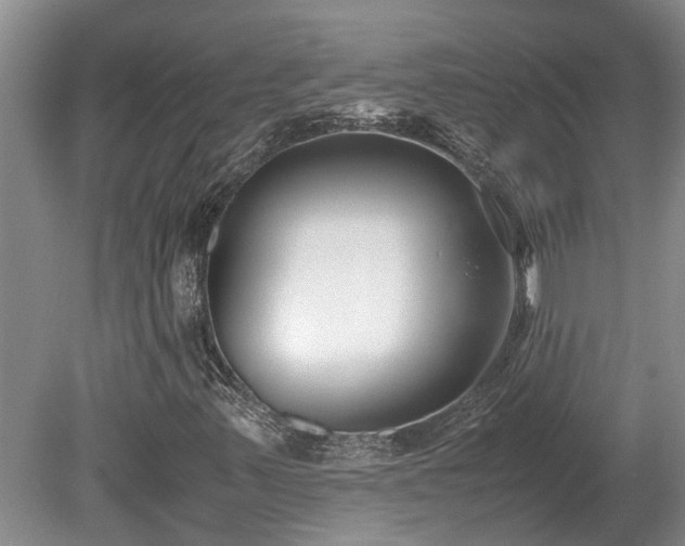X0000078881347200611131232