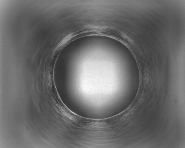 X0000078881354200611131232