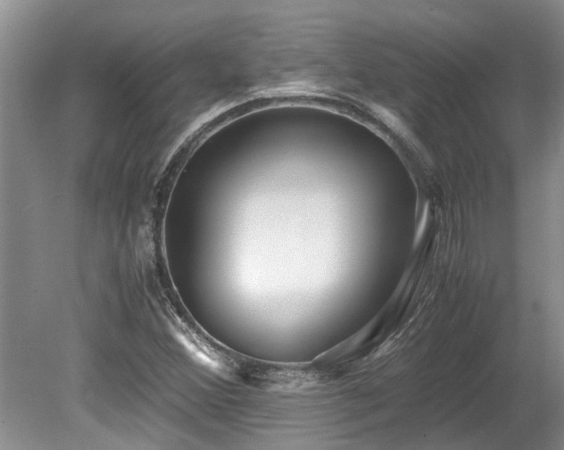 X0000078881356200611131232