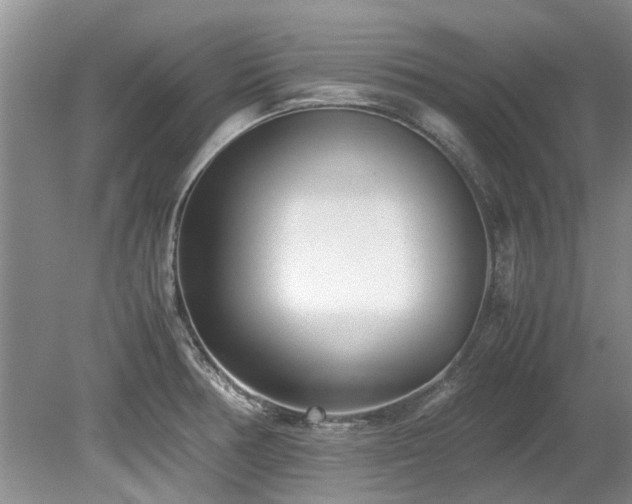 X0000078881378200611131232