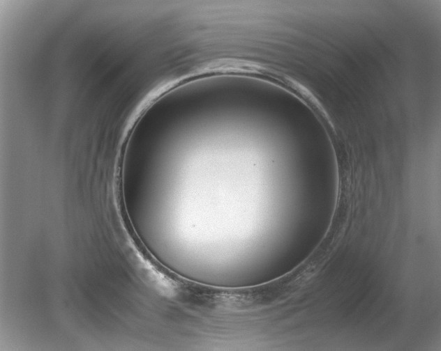 X0000078881379200611131232