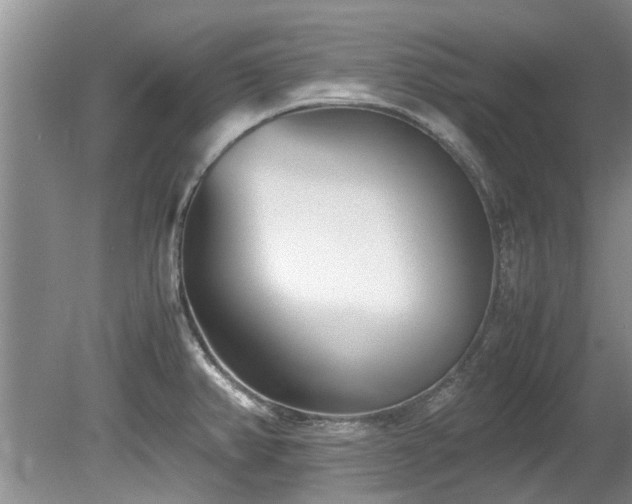 X0000078881382200611131231