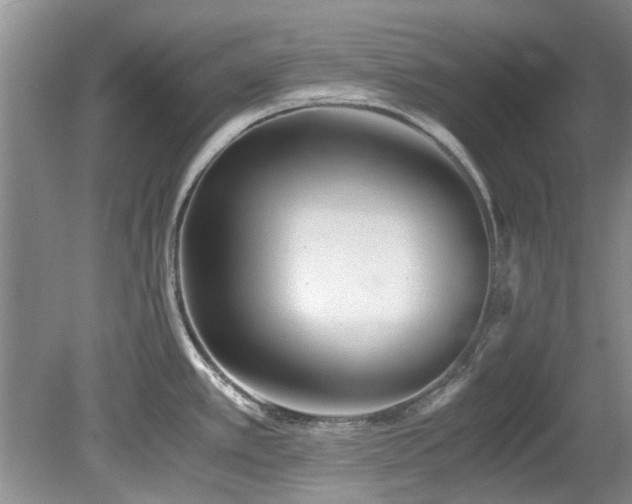 X0000078881389200611131231