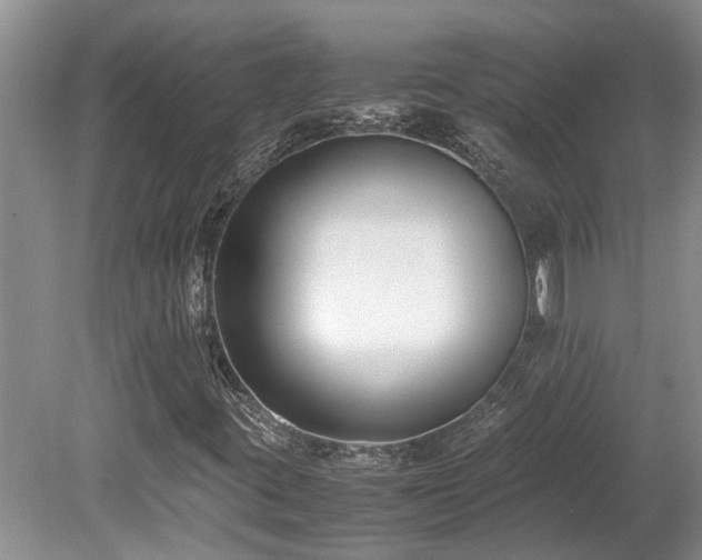 X0000078881395200611131231