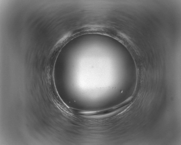 X0000078881403200611131231