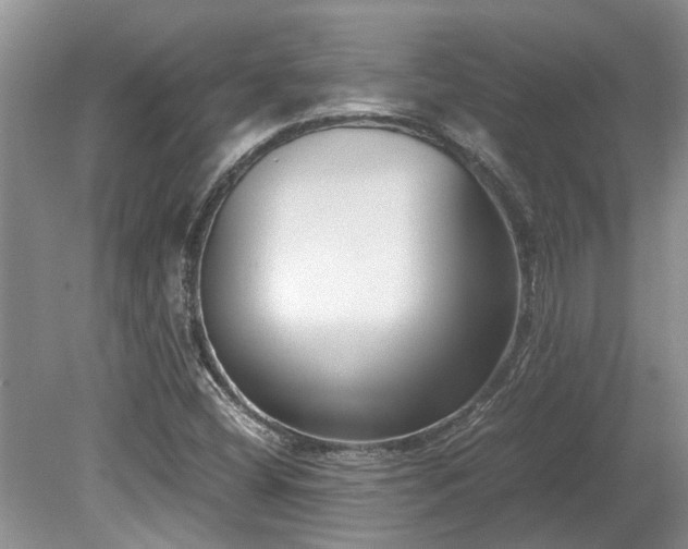 X0000078881404200611131231