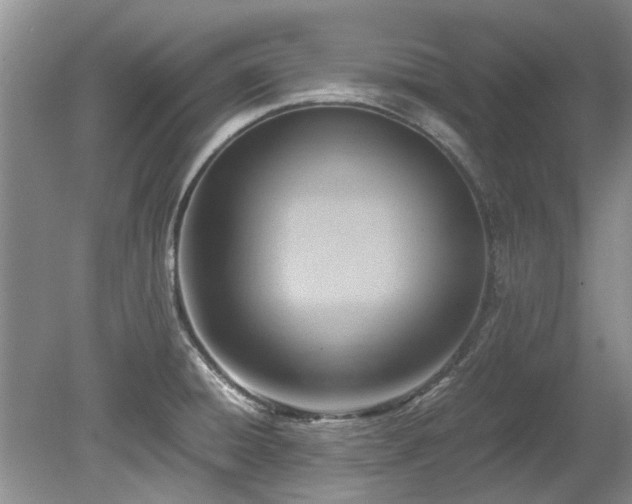 X0000078881428200611131231