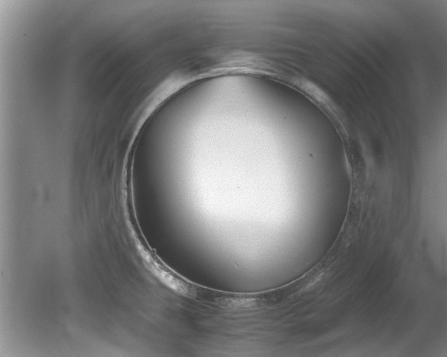 X0000078881431200611131231