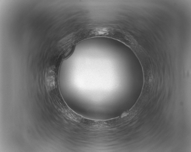 X0000078881442200611131230