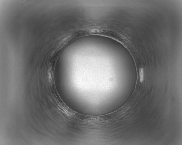 X0000078881444200611131230