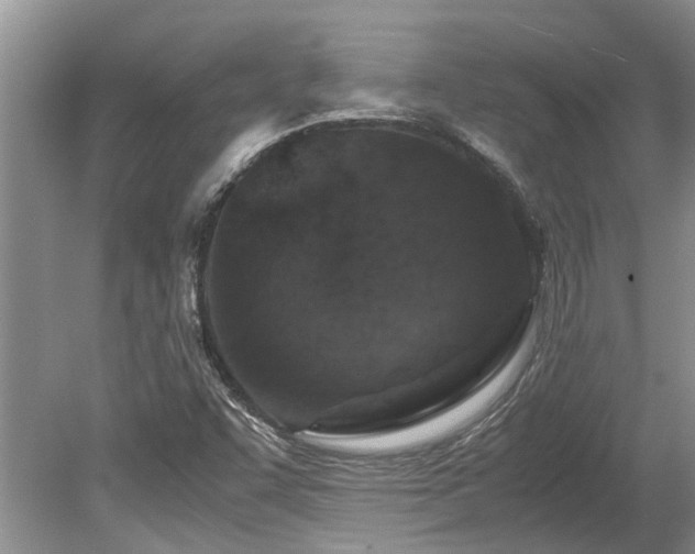X0000078881455200611131230