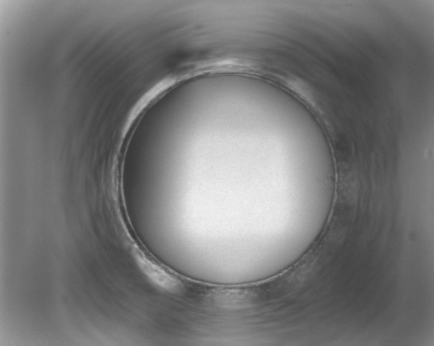 X0000078881474200611131230