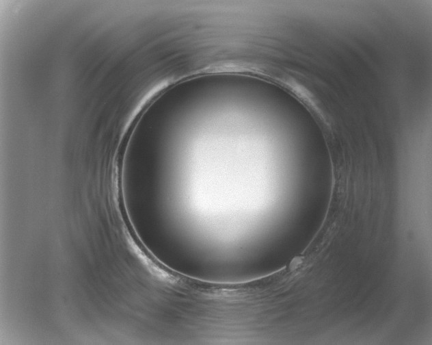 X0000078881476200611131230