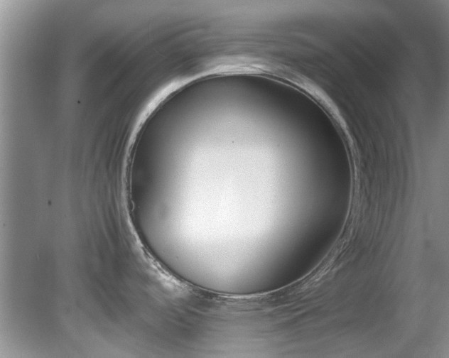 X0000078881488200611131230