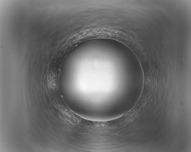 X0000078881490200611131229