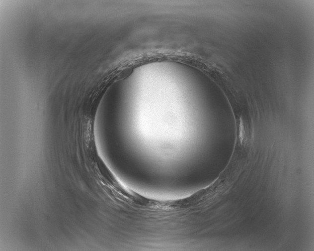 X0000078881492200611131229