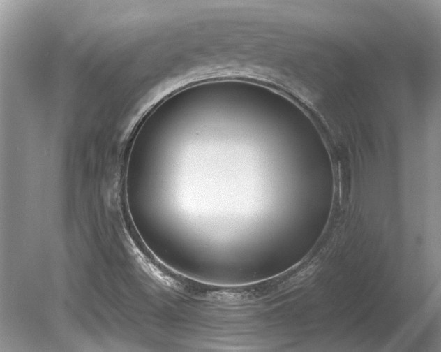 X0000078881500200611131229