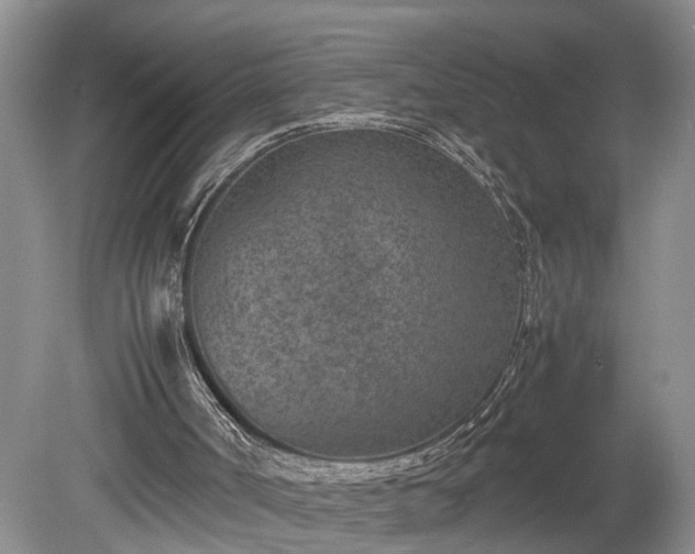 X0000078880002200611201423