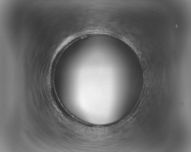 X0000078880008200611201422