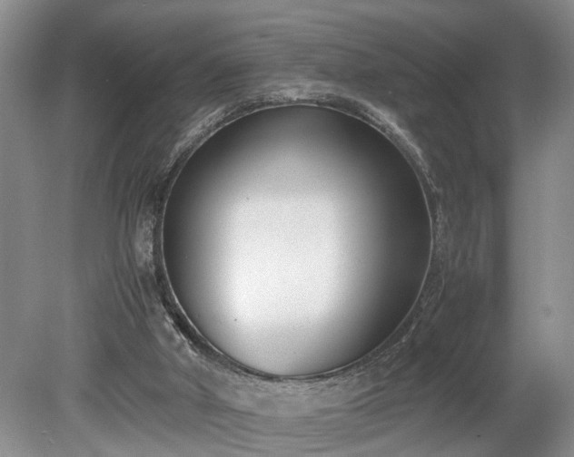 X0000078880010200611201422