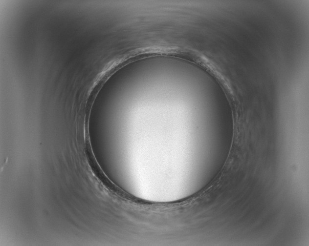X0000078880011200611201422