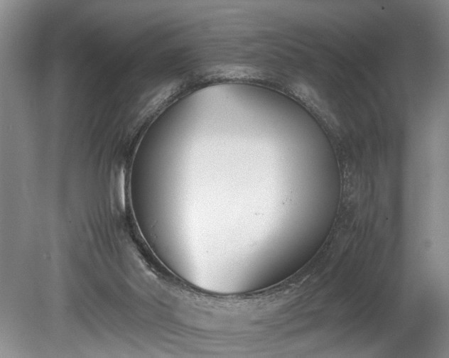 X0000078880014200611201422