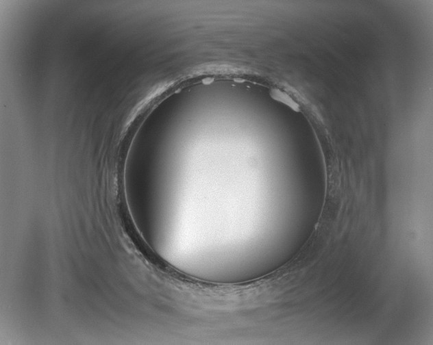X0000078880015200611201422