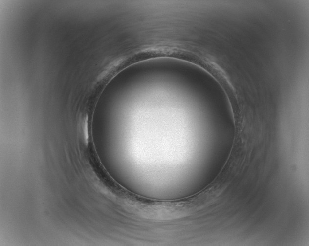 X0000078880020200611201422