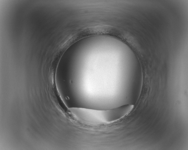 X0000078880021200611201422