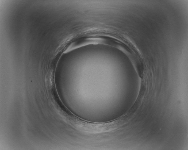 X0000078880023200611201422